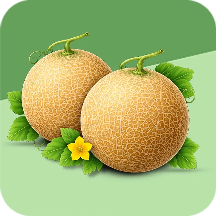 Muskmelon Image