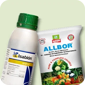 Nutrients Image