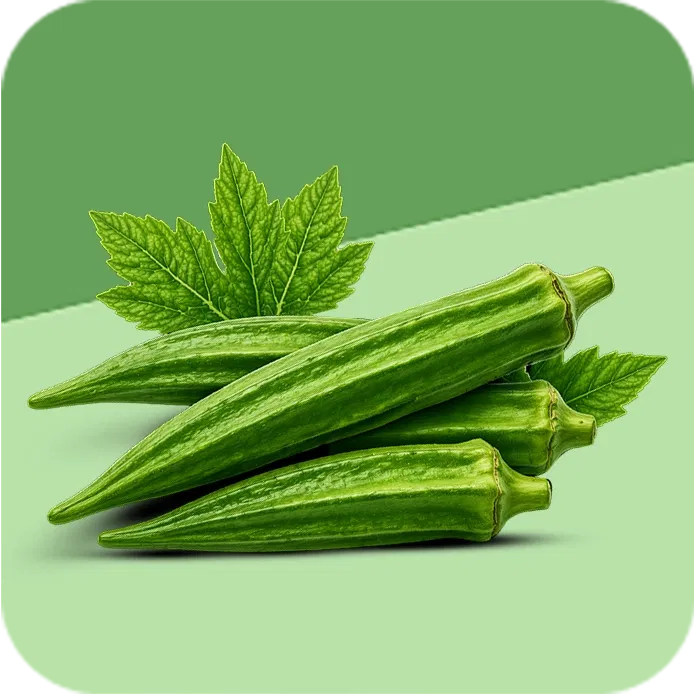 Okra Image