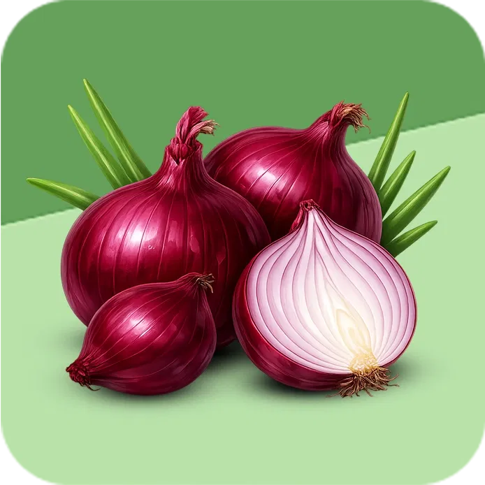 Onion Image