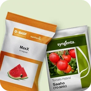 Vegetable & Fruit Seeds Image