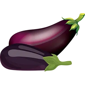 Brinjal Image