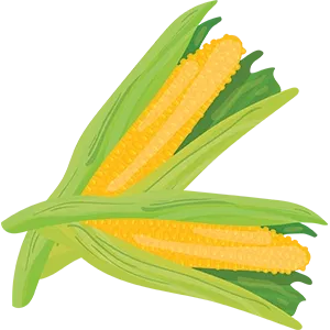 Maize Image