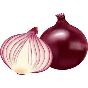 Onion Image