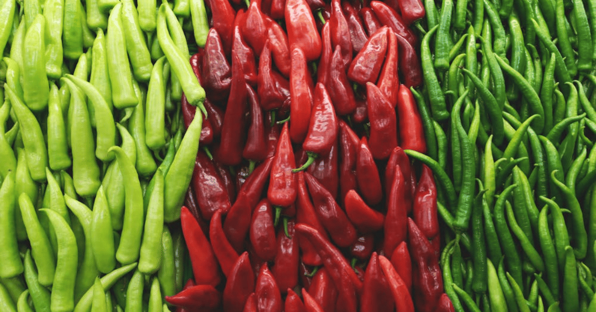 kvplus/articles/0575033d7f95cfee52cce2d4d4783162_CHILLI-1.png