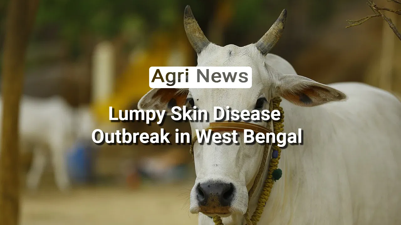 kvplus/articles/251f3498bebee5dc825360822da816ac_News.jpg