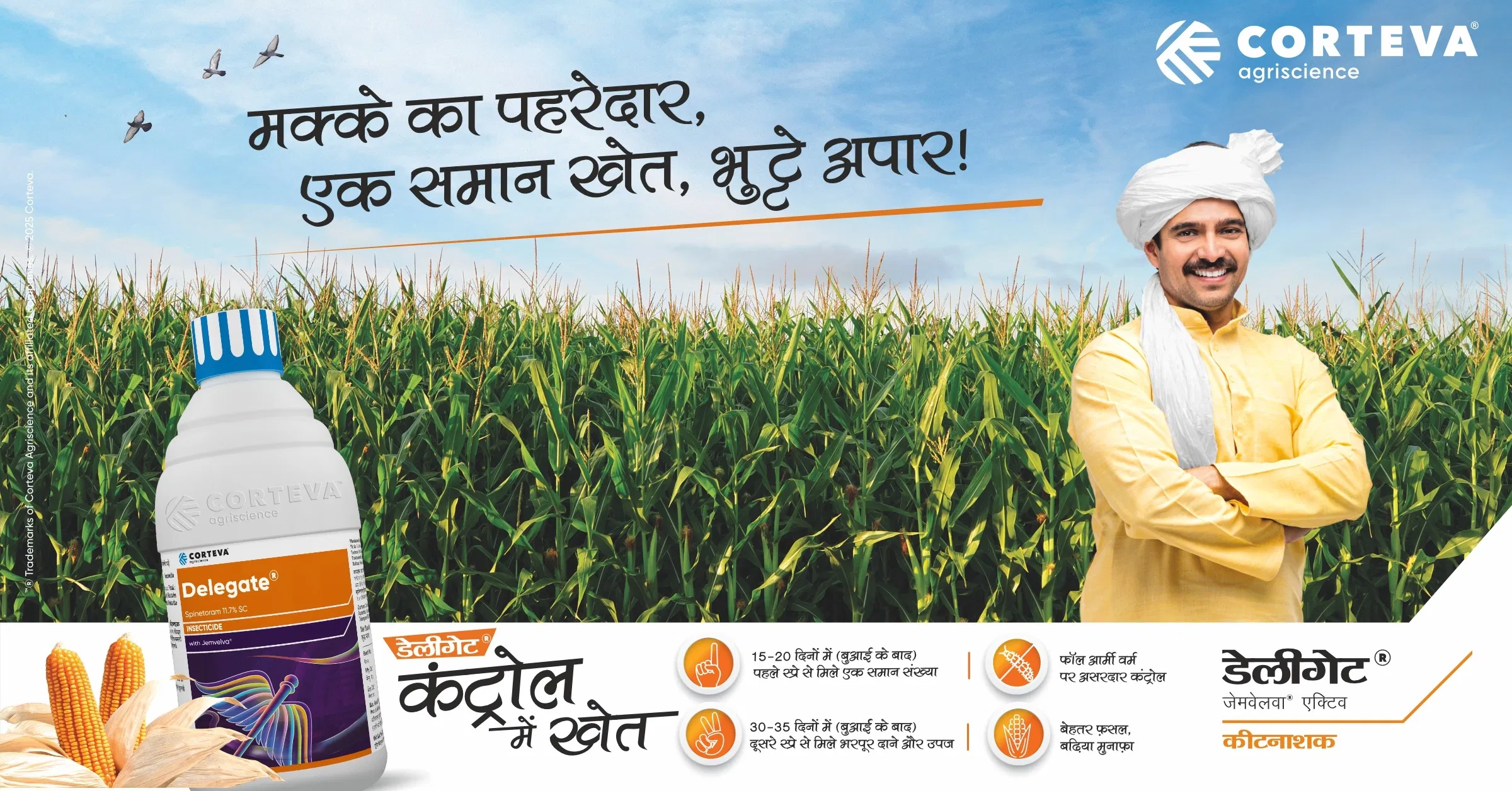 Delegate Protected My Maize Crop From Fall Armyworm And Also Increased The Yield Pradeep Suryabhan Sonawane Jalgaon Maharashtra Image