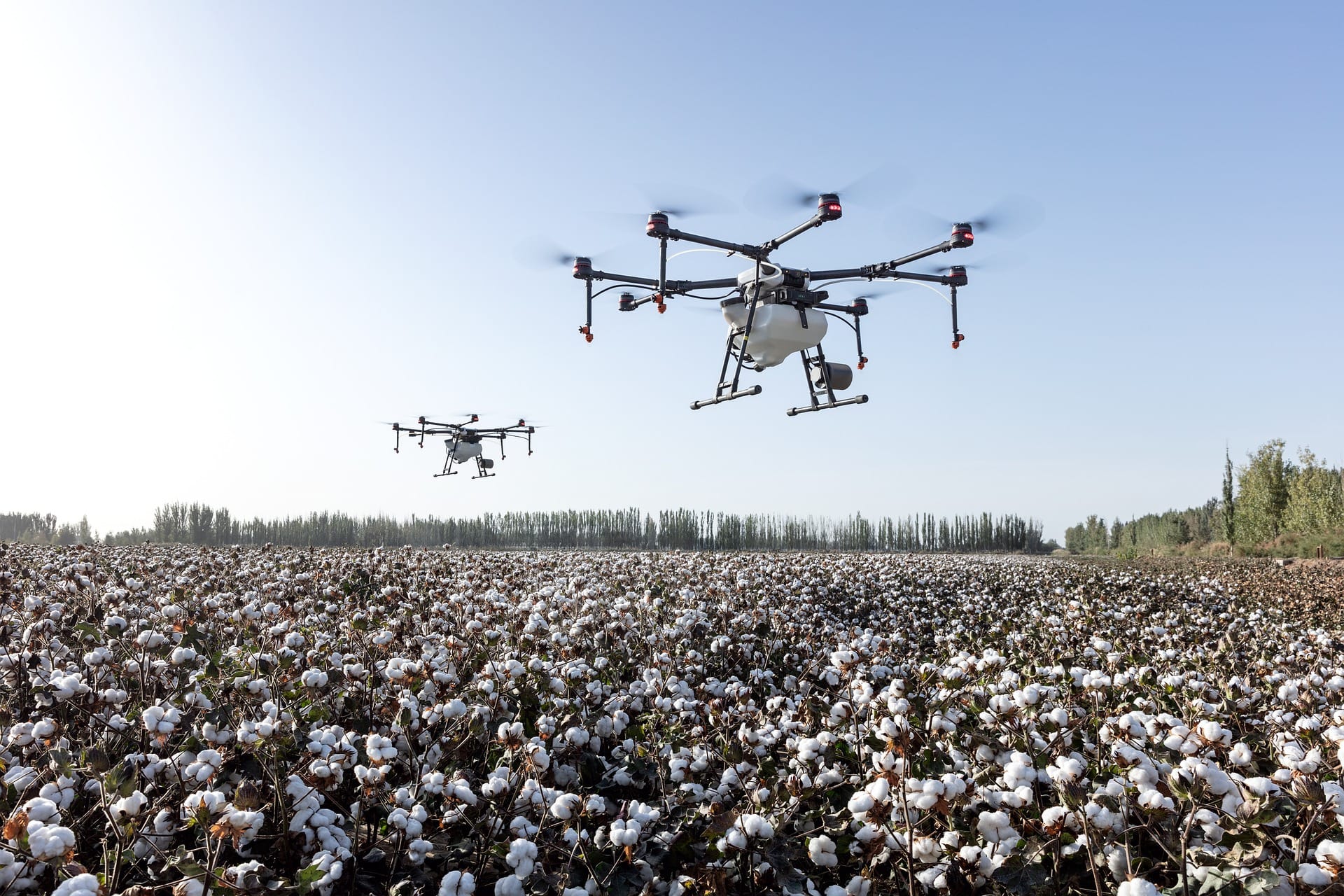 kvplus/articles/2a4578b8d990030ae57a8703e76a6f1b_agriculture-g1863af578_1920.jpg