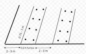Furrow method