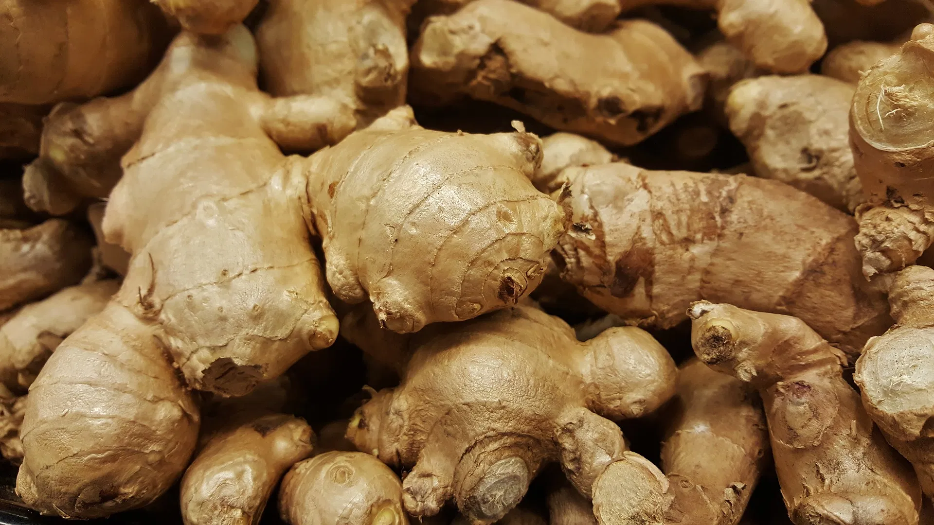 kvplus/articles/3452850b717f9390b03624a06292e0df_ginger-1388002_1920.jpg