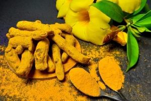 Turmeric farming