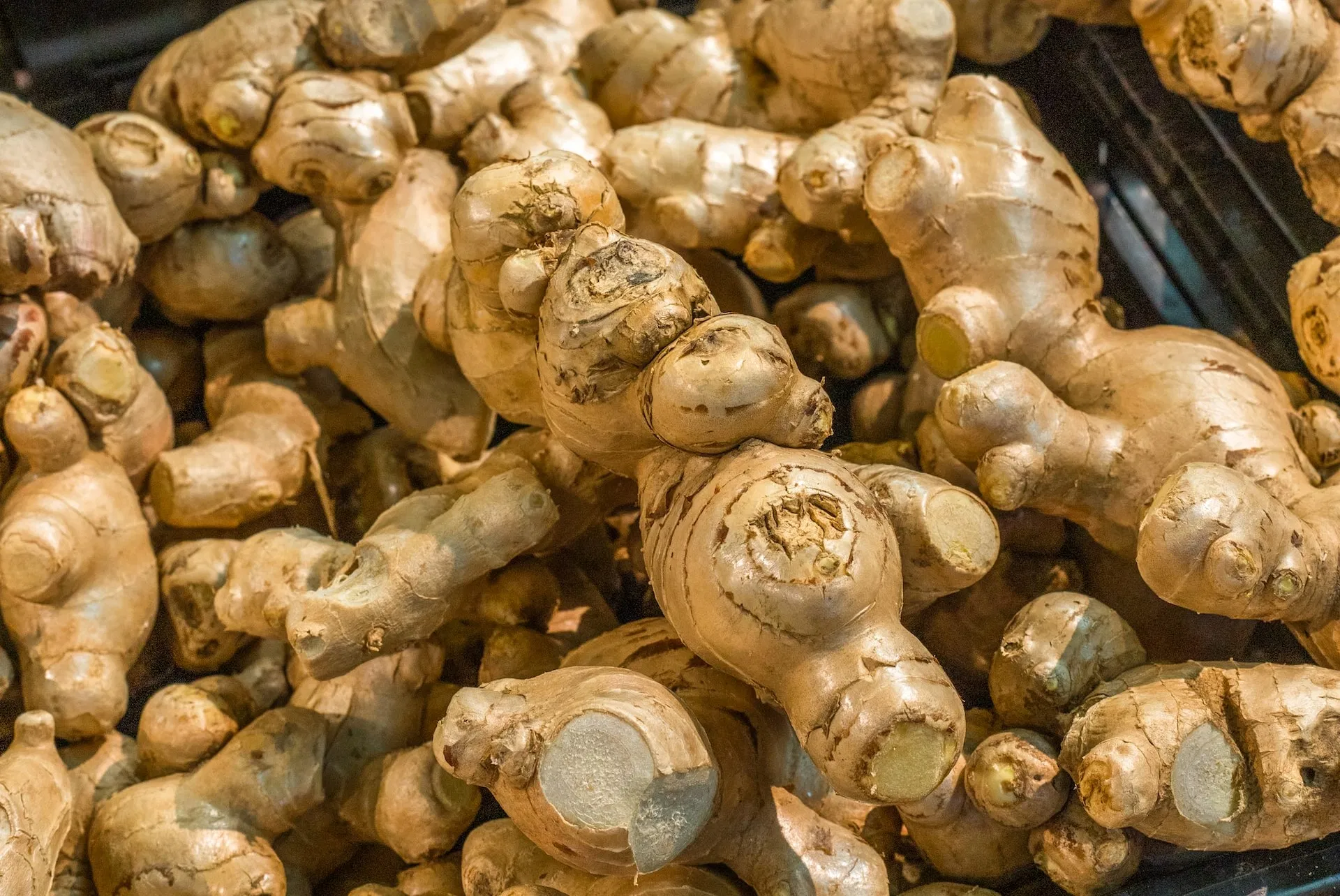 Field Preparation for Ginger Image