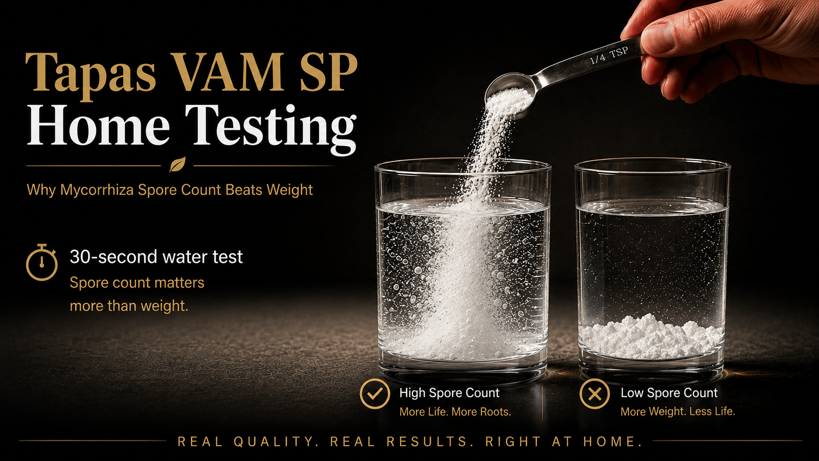 kvplus/articles/92ca0dc9-20b9-4c4b-a1c9-377eac569009.png