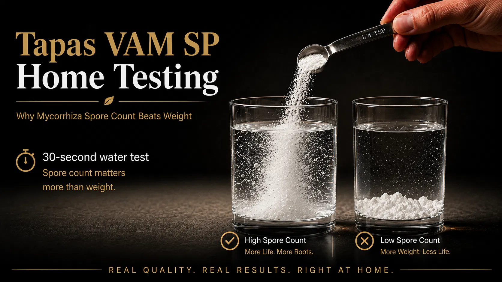 kvplus/articles/92ca0dc9-20b9-4c4b-a1c9-377eac569009.png