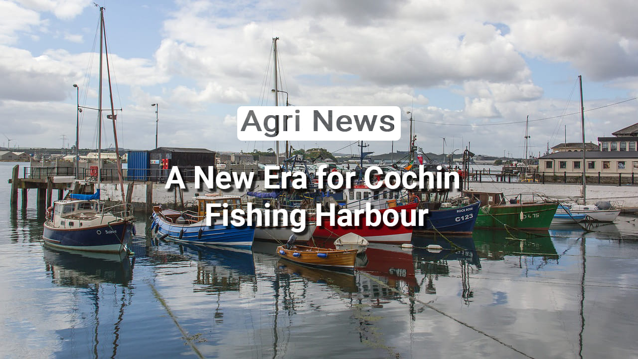 kvplus/articles/ef9e5b6c0f9c2368d470c12fd69d8c71_12-News.jpg