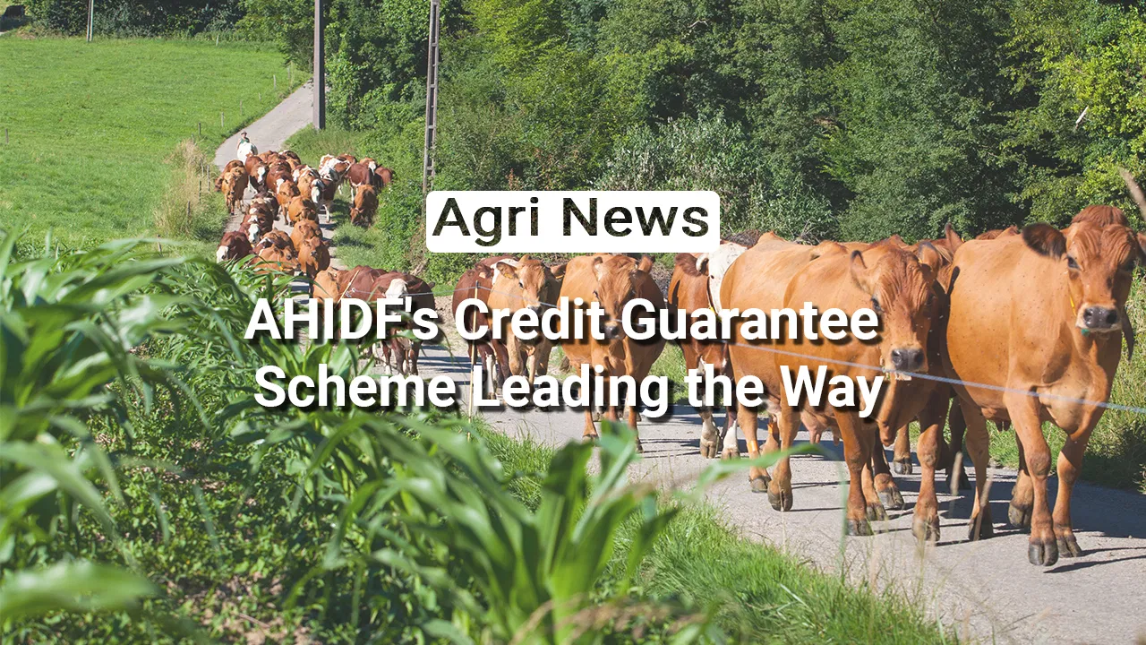 kvplus/articles/f5ee8f1b441f09b06f05dd23629cb7bf_11-News.jpg