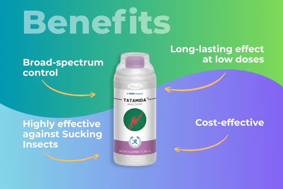tatamida-sl-insecticide_en_3.