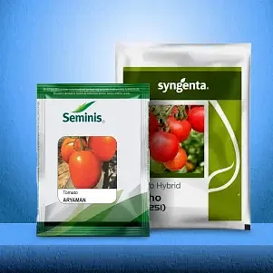 Tomato Image