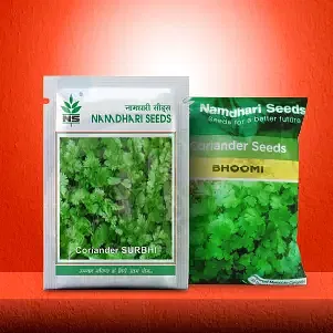 Coriander Image