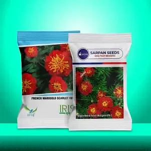 Marigold Image