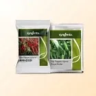 Chilli Image