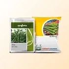 Okra Image