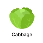 Cabbage Seeds products for Super Summer Sale Image
