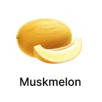 Muskmelon Seeds products for Super Summer Sale Image