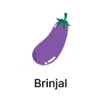 Brinjal Seeds products for Super Summer Sale Image