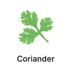 Coriander Seeds products for Super Summer Sale Image