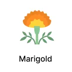 Marigold Seeds products for Super Summer Sale Image