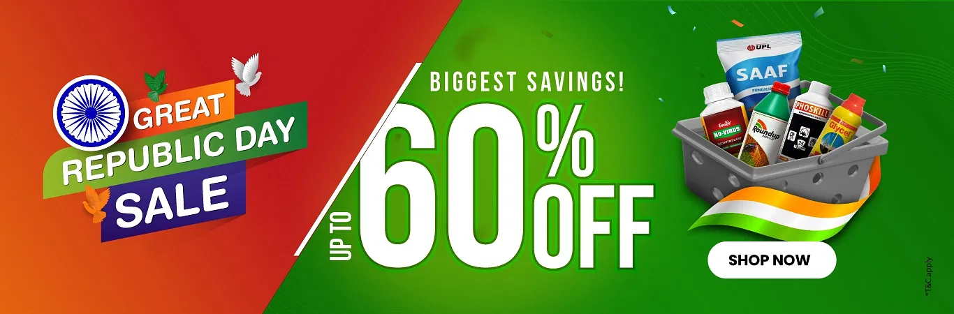 Republic Day Sale Main Banner Image 1