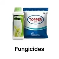 Fungicides Image