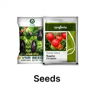 Seeds Image
