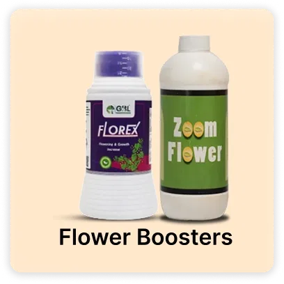 Flower Booster Sub Category 2026 Super Summer Sale Image