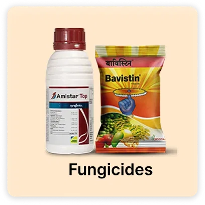 Fungicides products for Super Summer Sale Image
