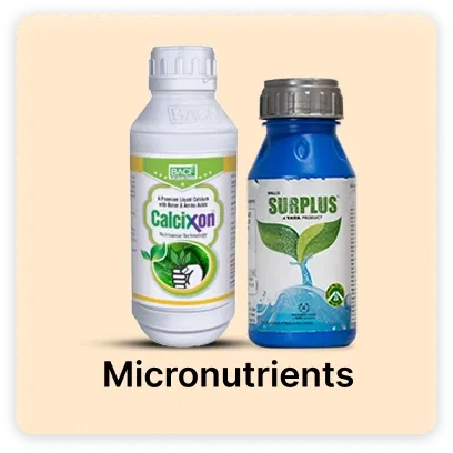 Micronutrients products for Super Summer Sale Image