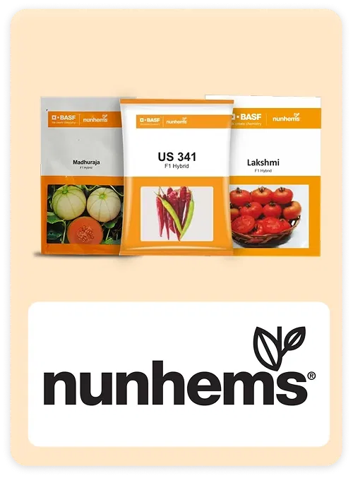Nunhems Brand 2026 Super Summer Sale Image