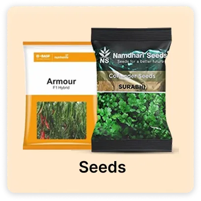 Seeds products for Super Summer Sale Image