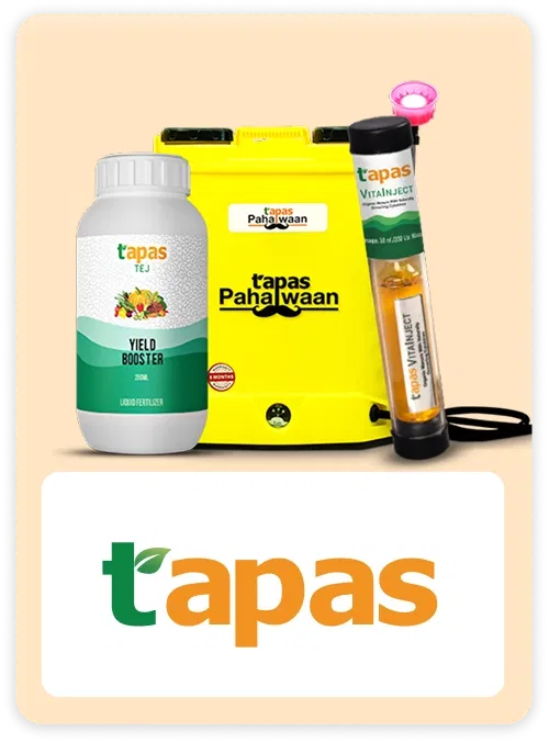Tapas products for Super Summer Sale Image