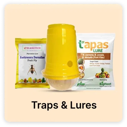 Traps & Lures products for Super Summer Sale Image