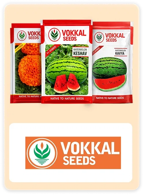 Vokkal Seeds Brand 2026 Super Summer Sale Image