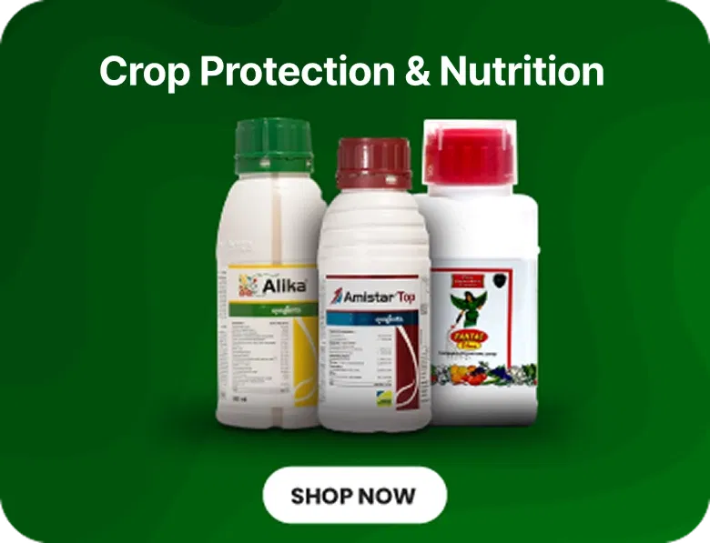CP & CN products for Super Summer Sale