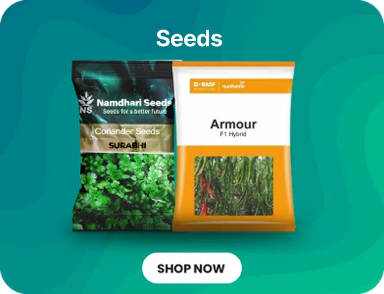 Seeds products for Super Summer Sale