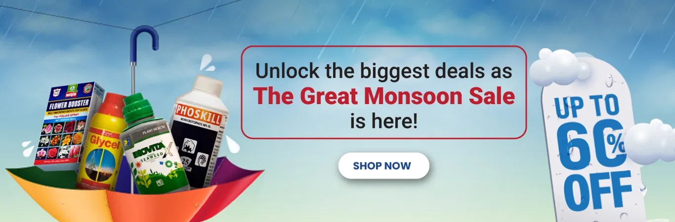 Home Banner 0 Image 1