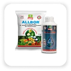 Micronutrients Image