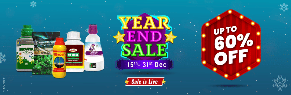 Home Banner 0 Image 1