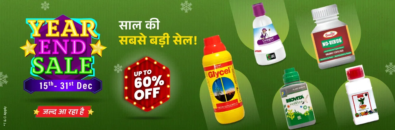 YES'25 Sale I Hype Image 1