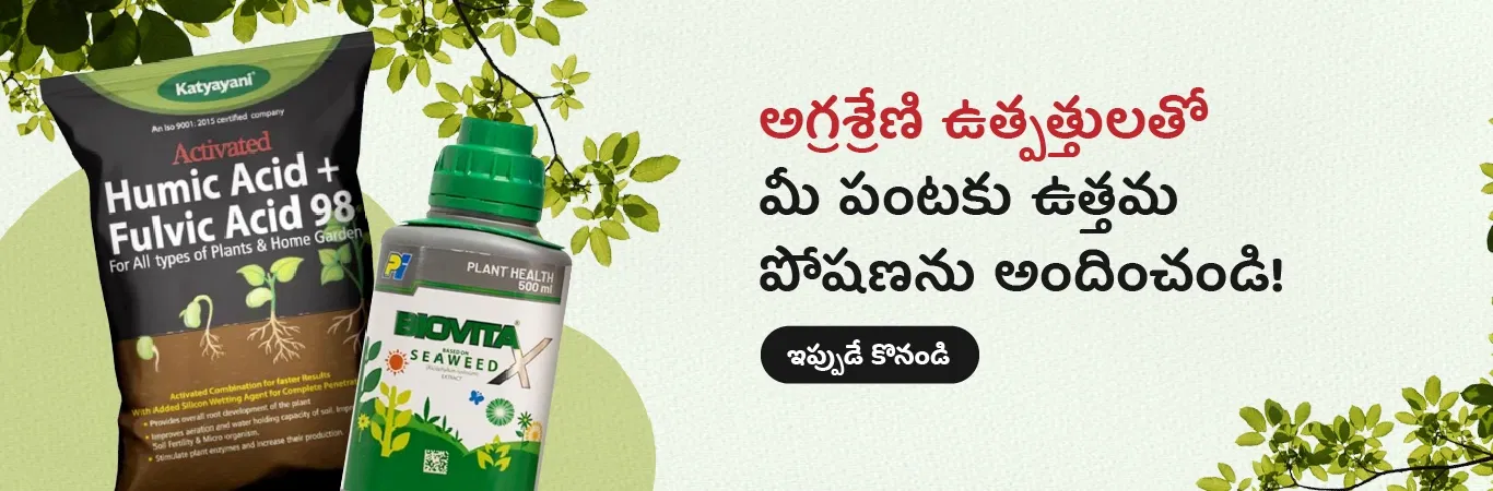 Home Banner 0 Image 5