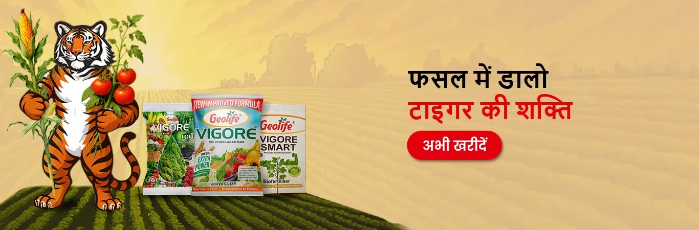 Geolife Bio Fertilizers V4 Image 2